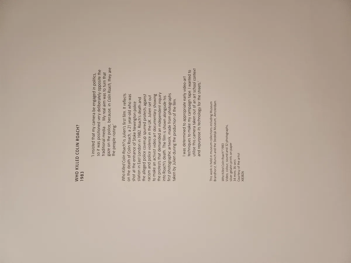 Isaac Julien Gallery Image 29